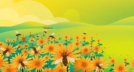 Resource scheduling software